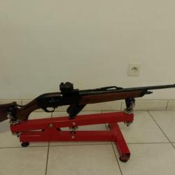 Vente carabine Winchester 270 WSM avec point rouge Bushnell