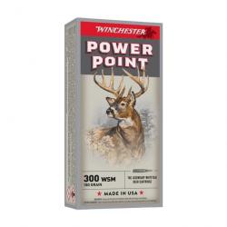 Cartouches  300 wsm power point - 180gr