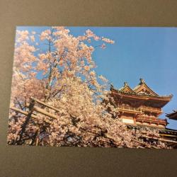 Carte postale japon 4