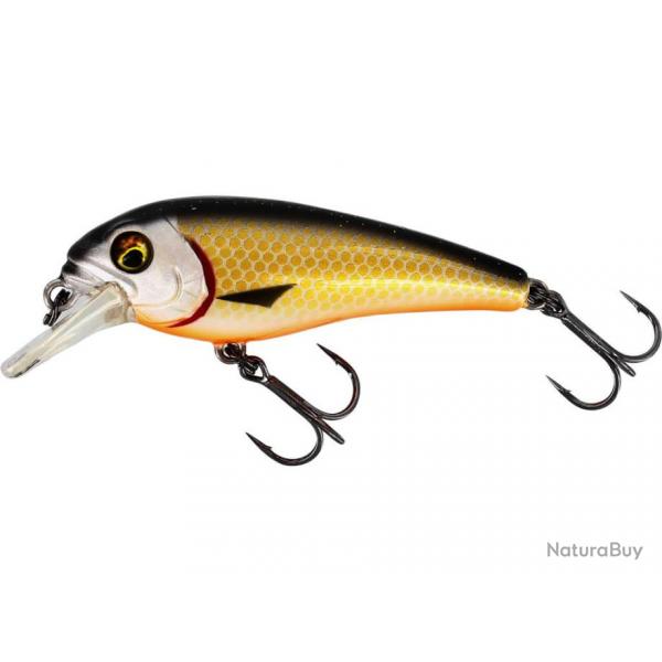 Leurre BullyBite Crankbait - WESTIN Official Roach - 7cm 15g