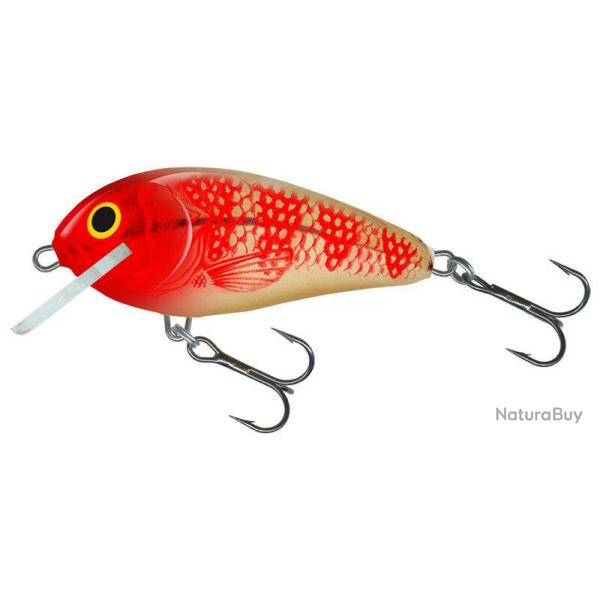 Leurre Butcher Floating 5cm - SALMO Golden Red Head