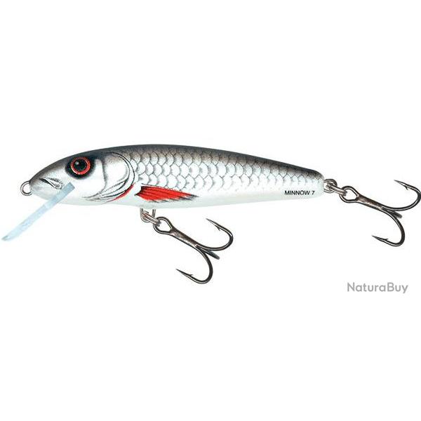 Leurre Minnow Floating - SALMO Dace - 5cm