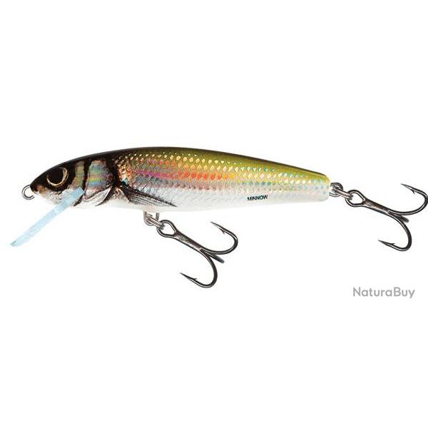 Leurre Minnow Floating - SALMO Holo Bleak - 5cm