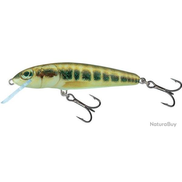 Leurre Minnow Floating - SALMO Minnow - 5cm