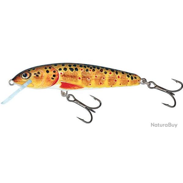 Leurre Minnow Floating - SALMO Trout - 5cm