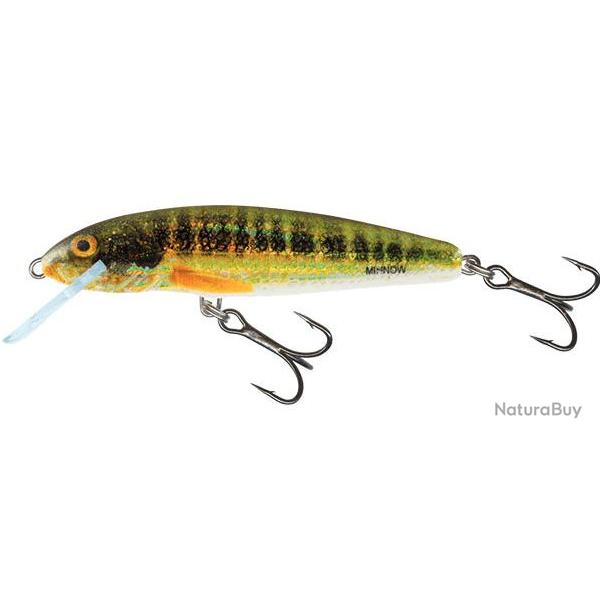 Leurre Minnow Floating - SALMO Holo Real Minnow - 5cm