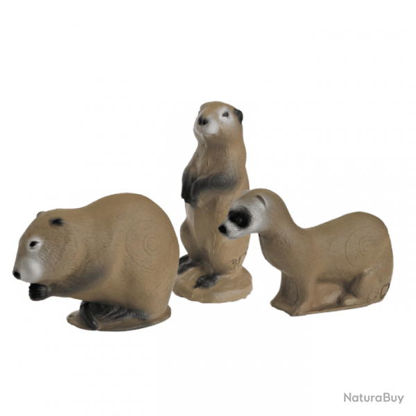 Cible 3D- lot de 3 chiens de prairies-3D INTERNATIONAL