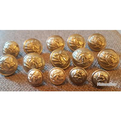 Lot De 15 Boutons Haute Couture Vert Bronze Dorure - Neufs, Pour Blazers, Costumes, Artisanat, Fabrication Française
