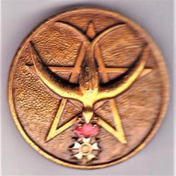 1° RTM. 1° Régiment de Tirailleurs Marocains. T3. Légion d'Honneur. Drago. Olivier Métra.137.Déposé.