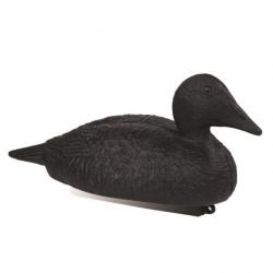 Appelant eider noir Stepland Par 1 - Par 1