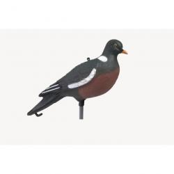 Appelant Stepland Pigeon ramier HD 1 - 1