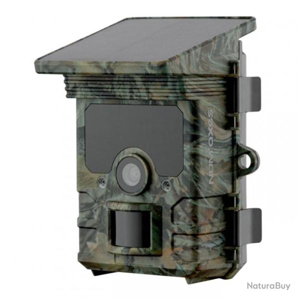 Pack camera de chasse Num'Axes Wifi PIE1060 + piles + 1 cartes mmoire 32 GB - 10x9,5x14,5 cm