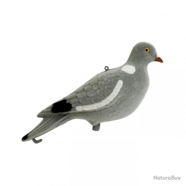 Appelant Stepland Pigeon floqu - 1