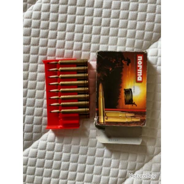 Balle Norma, 300 Winchester mag 17 munitions