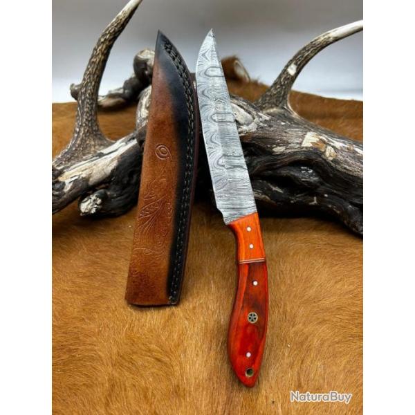 Couteau chasse lame damas 256 couches Manche en bois d'olivier color ref D81