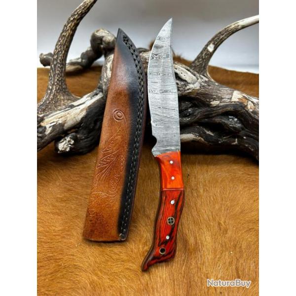 Couteau chasse lame damas 256 couches Manche en bois d'olivier color ref D85