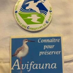 Autocollant ANCGE AVIFAUNA