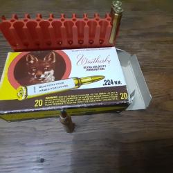 224 WEATHERBY MAG