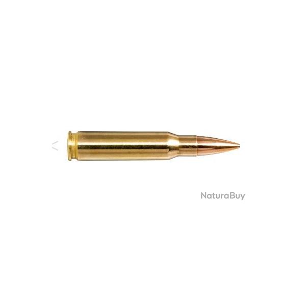 Munitions NORMA Competition Line GOLDEN TARGET Cal.308WIN 155GR par 20
