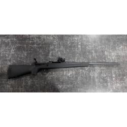 Carab Remington 783 synth 30-06 sprg + point rouge