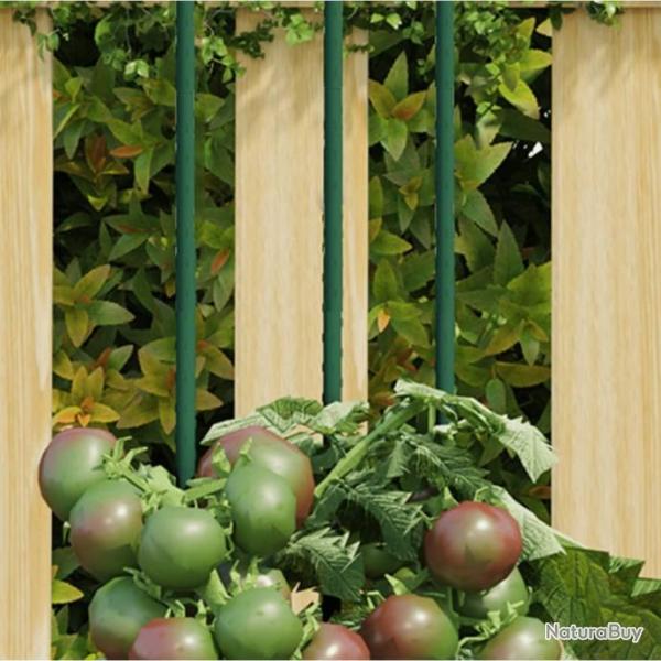 Piquets pour plantes de jardin 30 pcs vert 60 cm acier