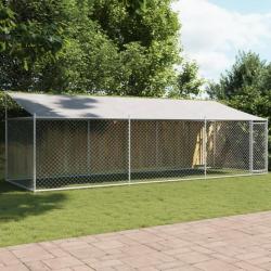 Cage pour chien avec toit et porte gris 6x2x2 m acier galvanisé