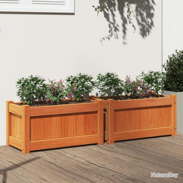 Jardinires 2 pcs cire marron bois de pin massif