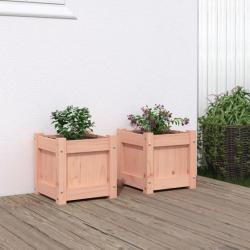 Jardinières 2 pcs bois massif douglas