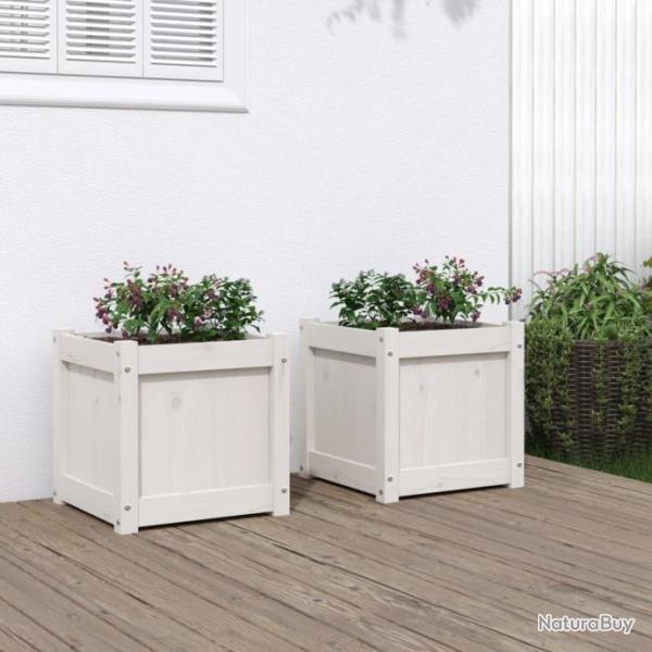 Jardinires 2 pcs blanc bois de pin massif