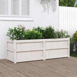 Jardinière blanc 150x50x50 cm bois massif de pin