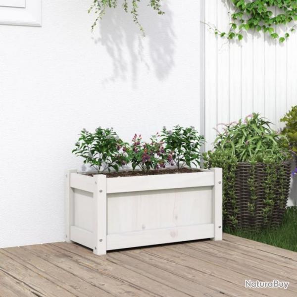 Jardinire blanc 60x31x31 cm bois de pin massif