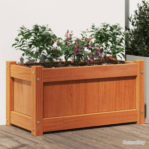 Jardinire cire marron 60x31x31 cm bois de pin massif