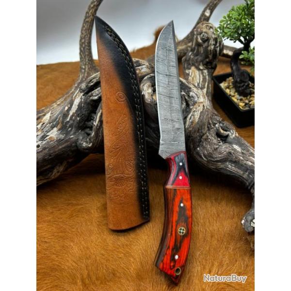 Couteau chasse lame damas 256 couches Manche en bois d'olivier color ref D112