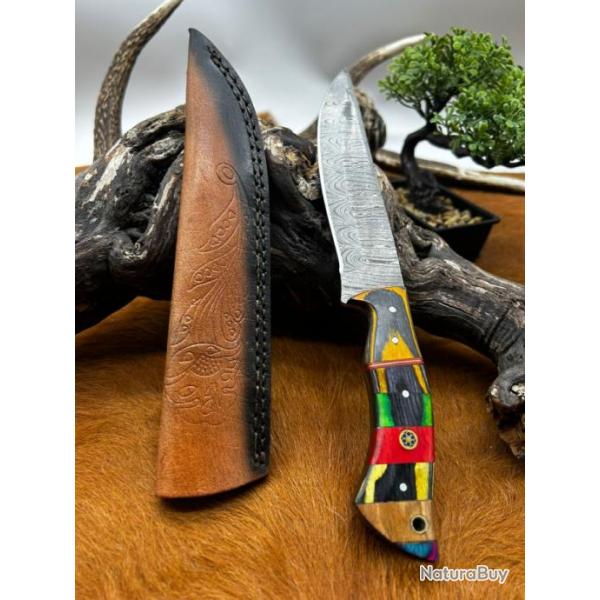Couteau chasse lame damas 256 couches Manche en bois d'olivier color ref D113