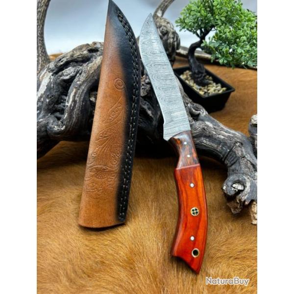 Couteau chasse lame damas 256 couches Manche en bois d'olivier color ref D114