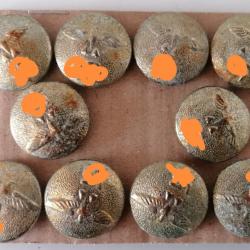 10 boutons militaria ww2