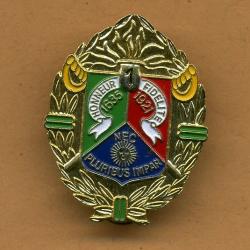 Insigne 1er REC - 1er Régiment Etranger de Cavalerie