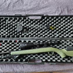 Ruger American Rimfire Verte - Carabine .22LR + Lunette 6-24 x 50 + Silencieux + Bipieds + Mallette