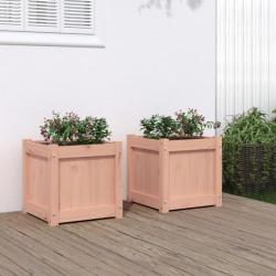 Jardinières 2 pcs bois massif douglas