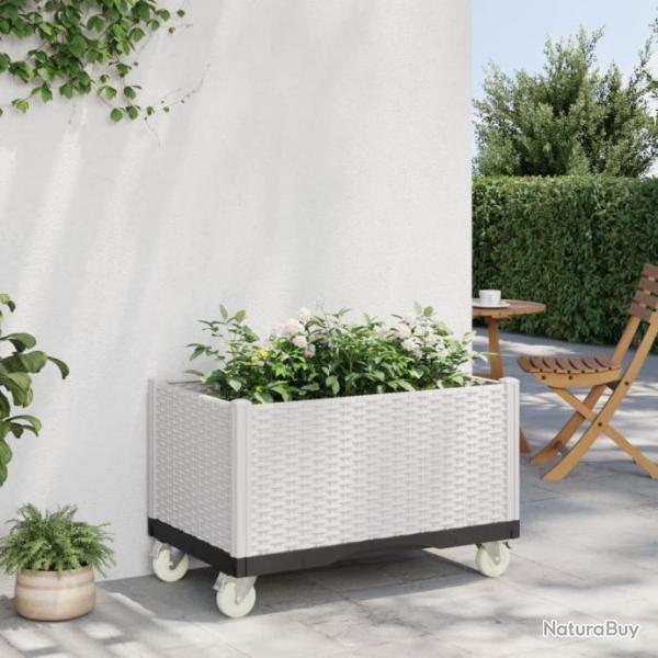 Jardinire  roulettes blanc 80x50x54 cm PP