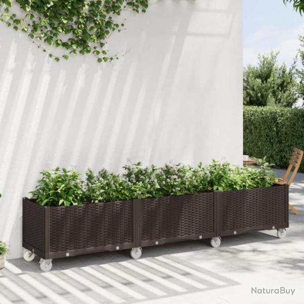 Jardinire  roulettes marron 240x50x54 cm PP