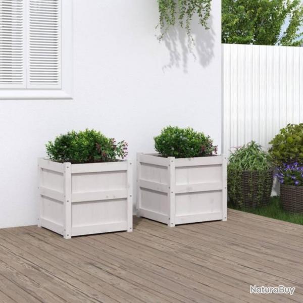 Jardinires 2 pcs blanc bois de pin massif