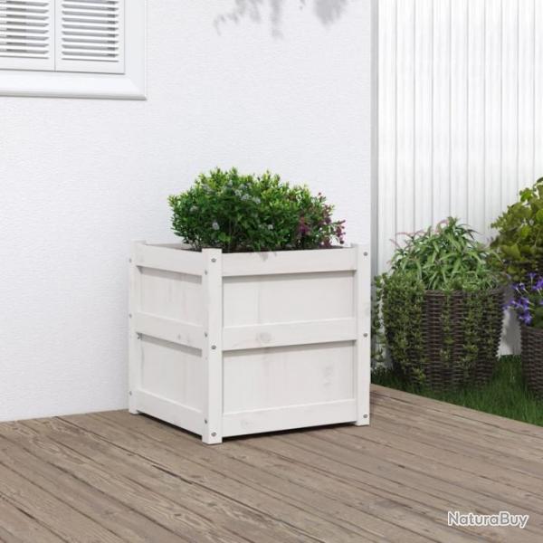 Jardinire blanc 50x50x50 cm bois de pin massif