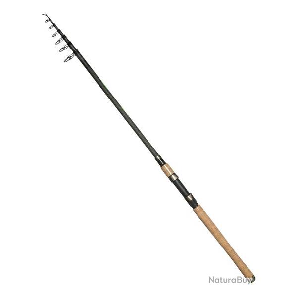 ARCA CANNE PIKE CATCH 300H - TELE 3,00M ARCA Tlscopique