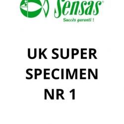 SENSAS SAV UK SUPER SPECIMEN BRIN 1 SENSAS