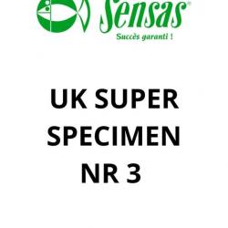 SENSAS SAV UK SUPER SPECIMEN BRIN 3 SENSAS