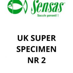 SENSAS SAV UK SUPER SPECIMEN BRIN NR 2 SENSAS