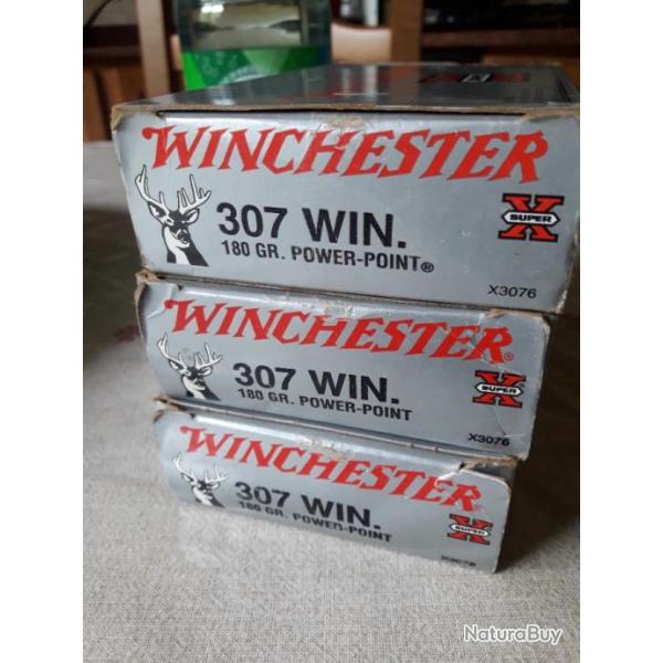 307 winchester 180 grains