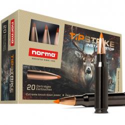 Munitions NORMA 30-06 SPRG 11.0G 170GR TIPSTRIKE SILENCER x2 boîtes