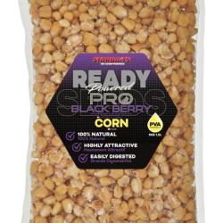 Graine Cuite Starbaits Ready Seeds Blackberry Corn / Mais 1KG